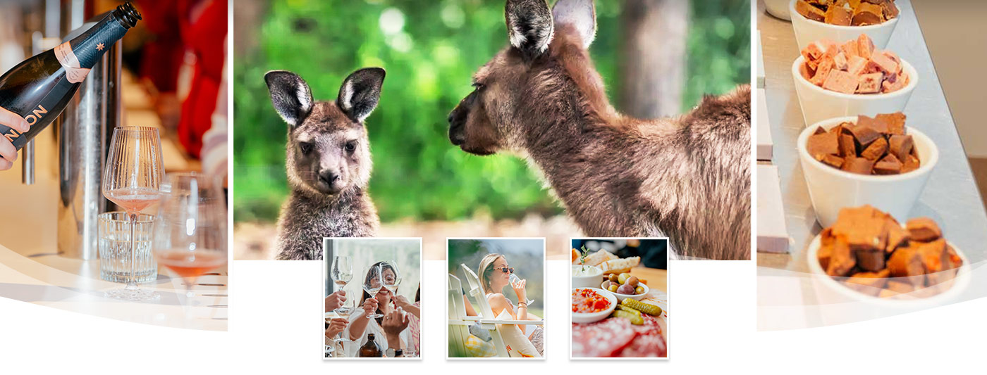 kangaroo-koala-wildlife-and-chandon-tour-yarra-valley